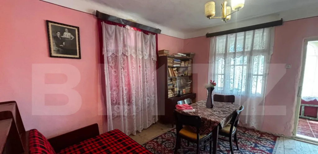 Proprietate cu 2 case batranesti 3 345 mp teren comuna