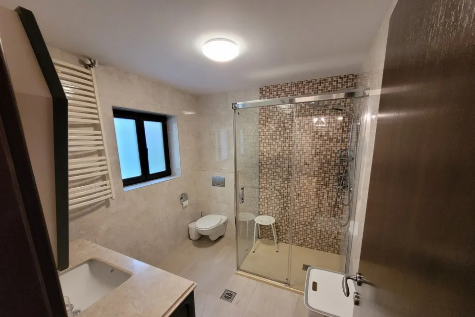Primaverii Apartament in vila
