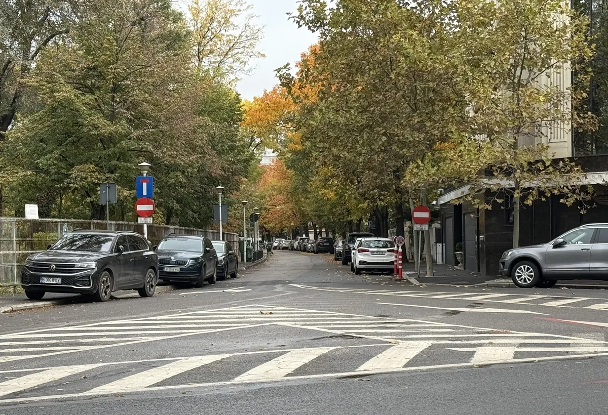 Primaverii Parcul Bordei Strada Dante Alighieri Proprietate Exclusiva