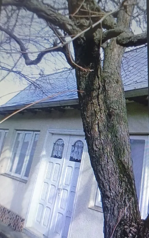 Comuna Jijila Sat Garvan judet Tulcea