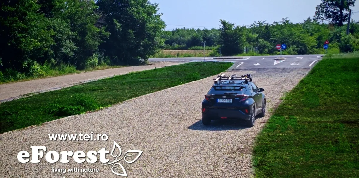 Crevedia Loturi de casa intre 2 paduri cu intrare dn eForest 1