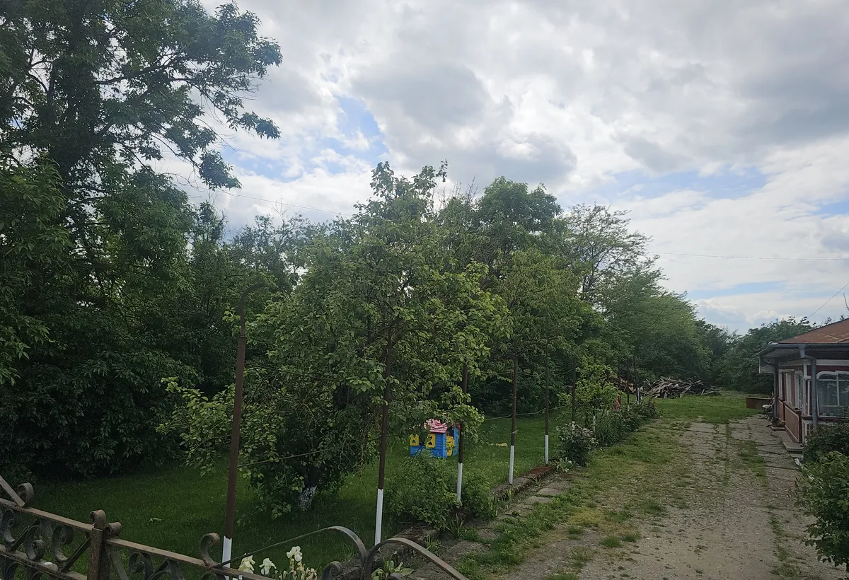 Ciolpani Ilfov
