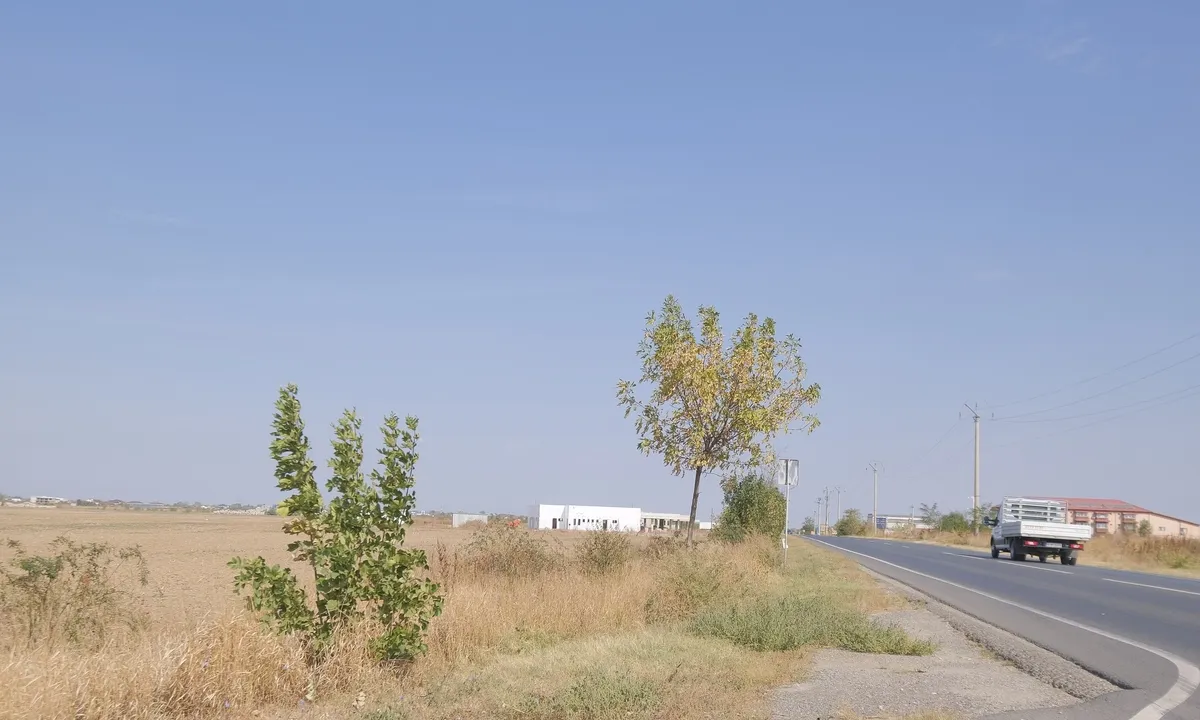 Mihailesti vav de Dovinot 57 000 mp teren cu deschidere de 200 m la DN6