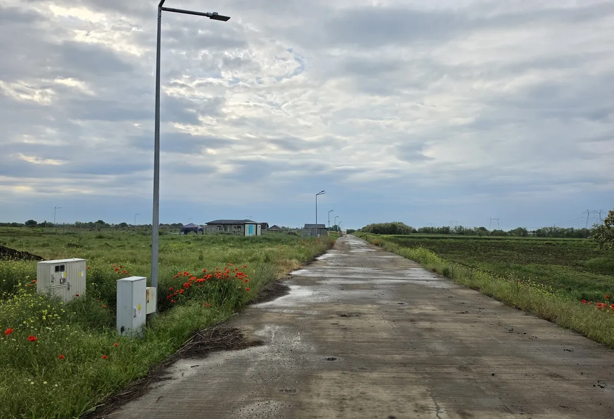 Frumusani loturi casa 529 mp 1 205 mp gaz curent 15 min Bucuresti