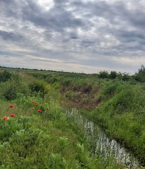 Teren Corbeanca Drumul Garii Odai