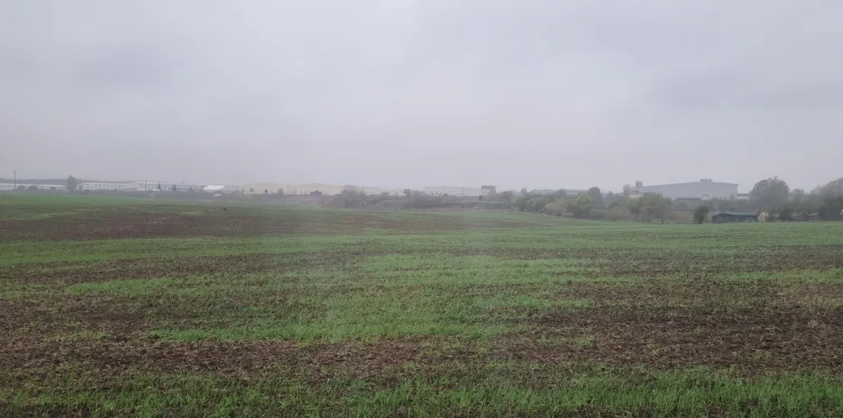 Pantelimon Bucuresti