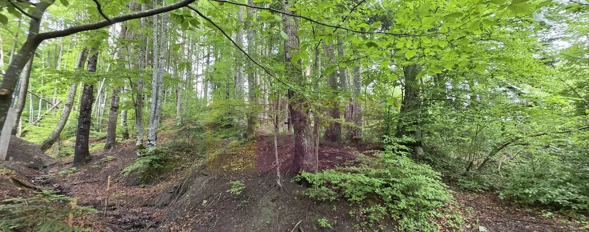 Teren intravilan 720 mp Sinaia