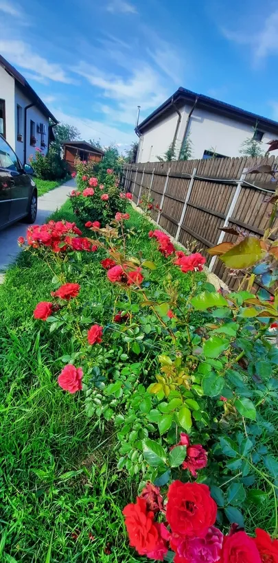 Buturugeni casa deosebita langa Bucuresti 20 km proprietate personala