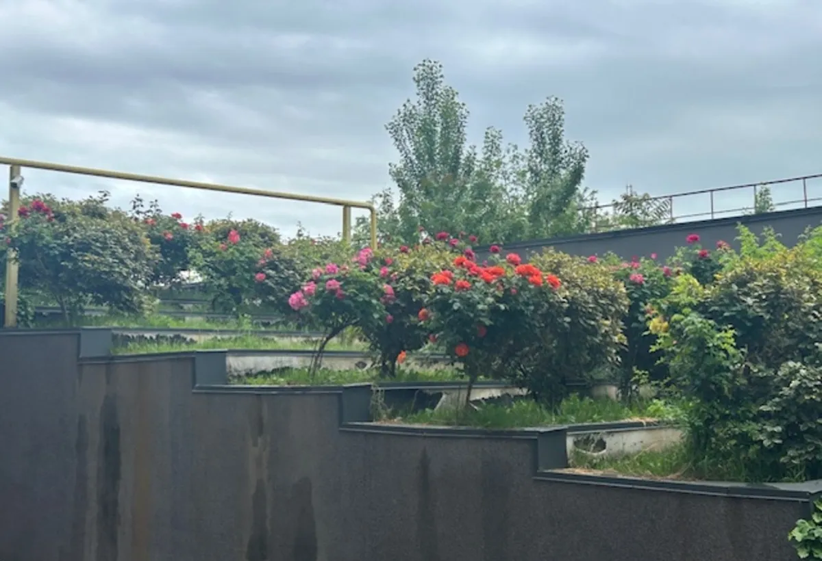 Liberty Mall Filaret Condominiu 2025 Central Adress Residence Duplex superb