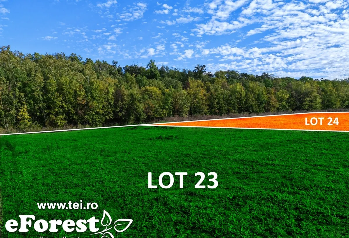 Crevedia loturi de casa intre 2 paduri cu intrare dn Eforest
