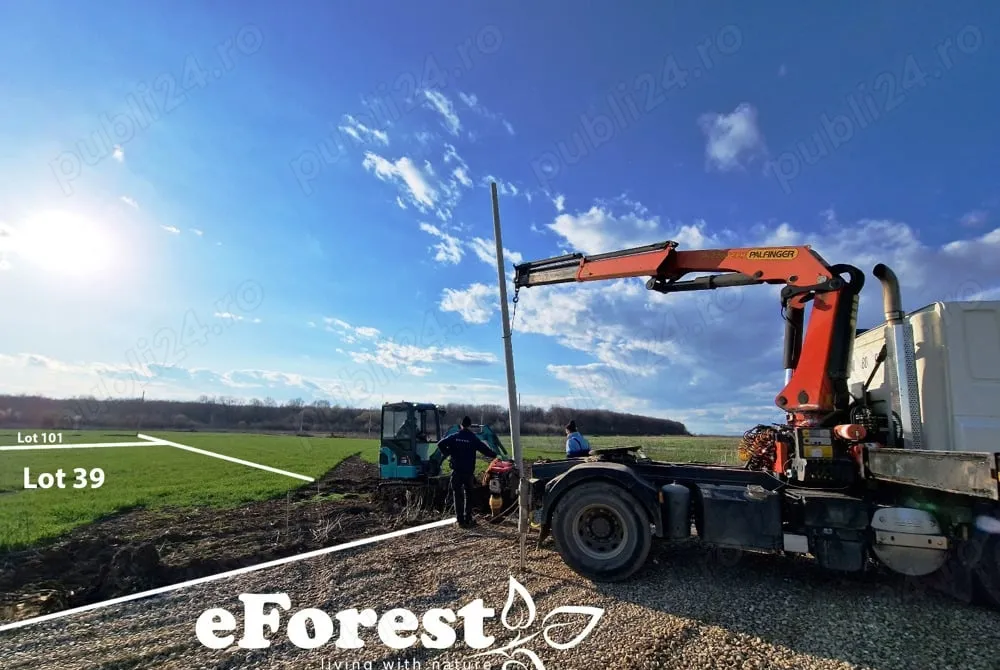 Promotia de Paste a inceput la eForest Loturi de casa intre 2 paduri