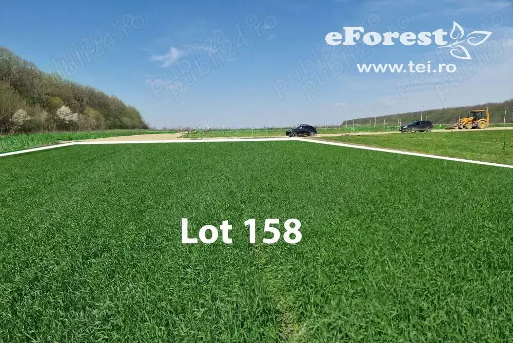 Promotia de Paste a inceput la eForest Loturi de casa intre 2 paduri