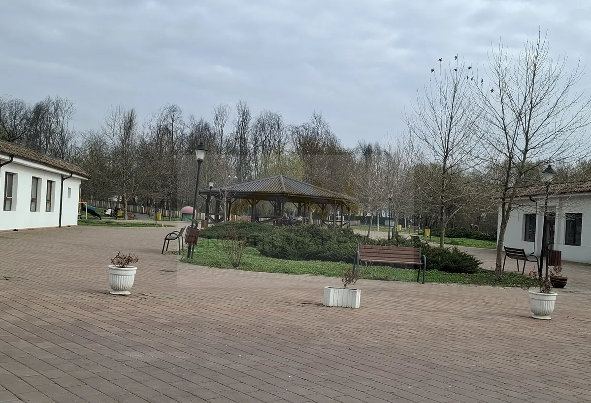 Vila 1 Decembrie Ilfov cartier rezidential