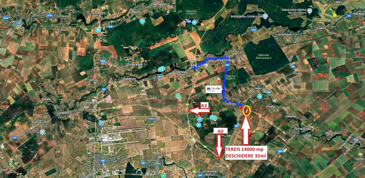 Dascalu teren 14000 mp in Dascalu langa Bucuresti ideal investitie