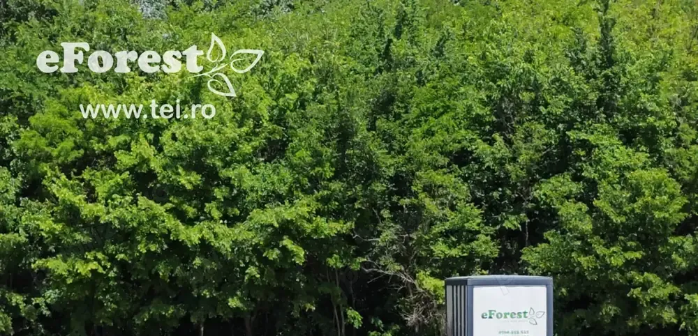 Crevedia loturi de casa langa padure eForest