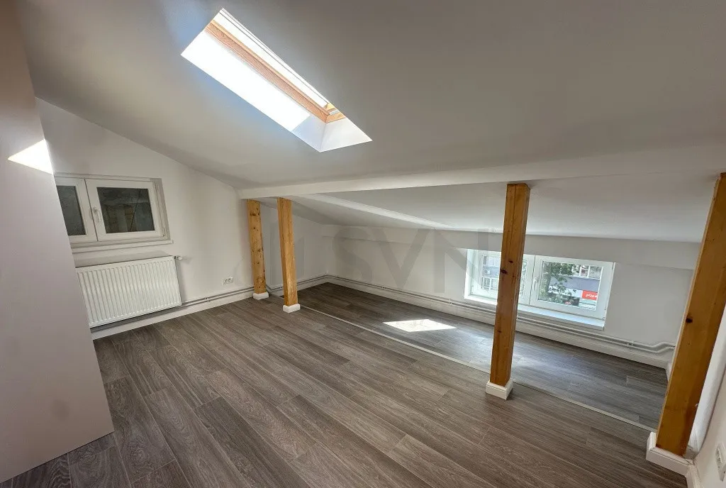 Aparment 4 camere I In vila I Ion Mihalache