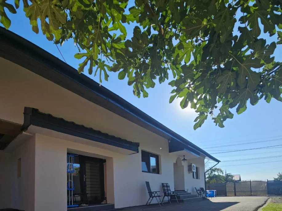 Casa/vila de vanzare Paulesti