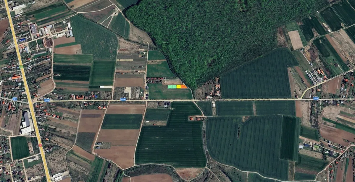 Izvorani loturi de 500mp langa padurea Snagov locatie de vis