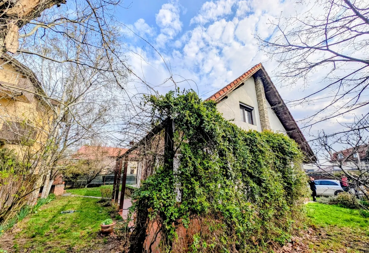 Mogosoaia M Bibescu rustic/cochet 4 dormitoare living semineu