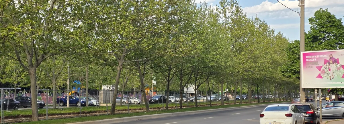 Titan Camil Ressu langa metrou stradal bloc retras liniste