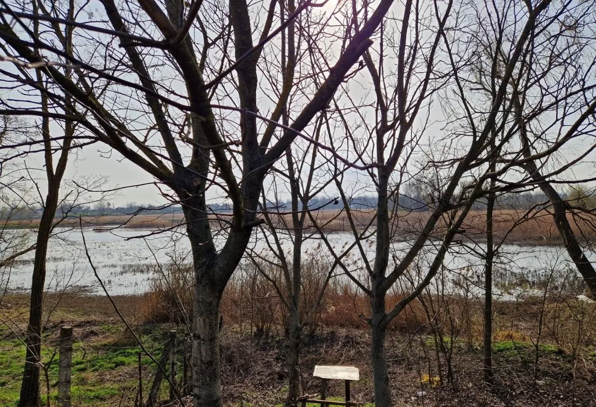 Teren Roman Trifesti iesire la lac livada pe rod