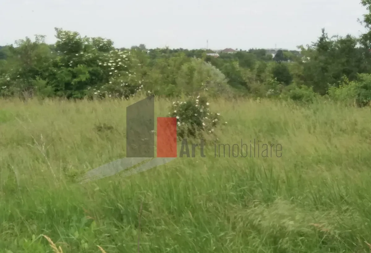 Teren Buftea cu iesire la lac