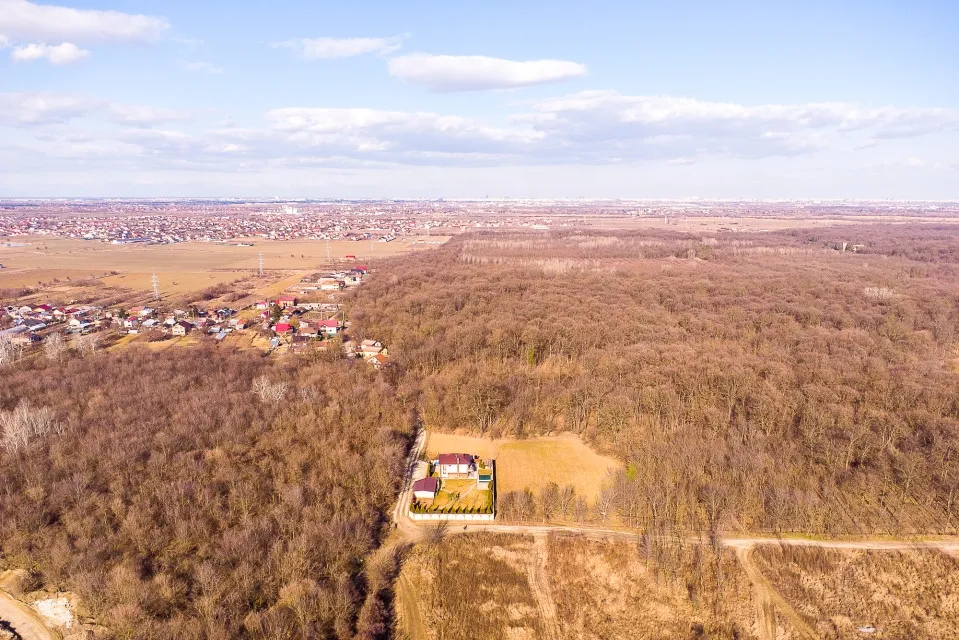 Magurele langa padurea Cornetu si Arges teren intravilan