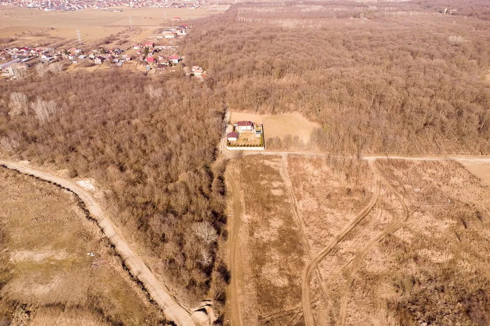 Magurele langa padurea Cornetu si Arges teren intravilan