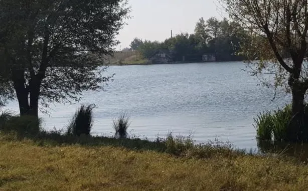 Vidra Ilfov
