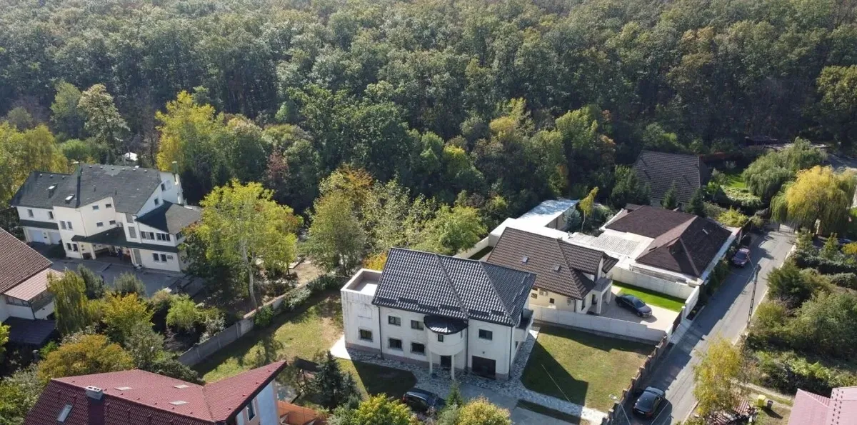 Mogosoaia vila la padure locul unde ai vrea sa traiesti