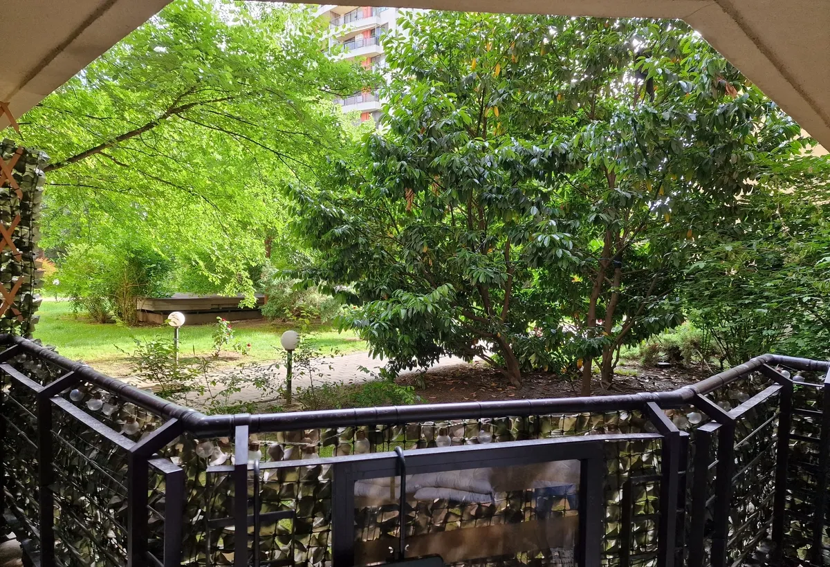 Stefan cel Mare Central Park