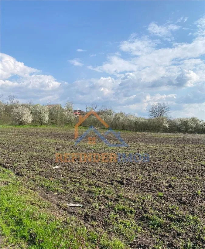Giurgiu Bucsani teren 10000 mp intravilan agricol