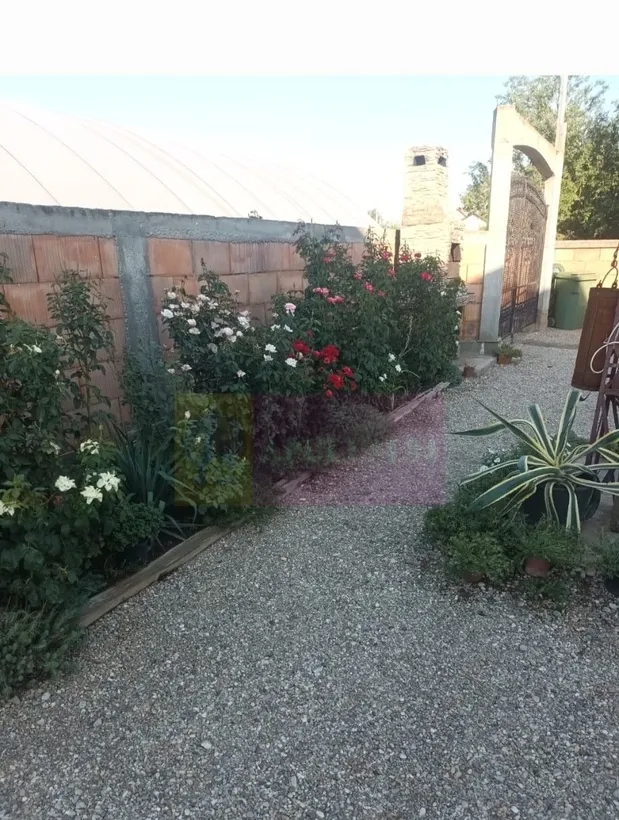 Varasti / gr casa P 1 M 4 cam de vanzare