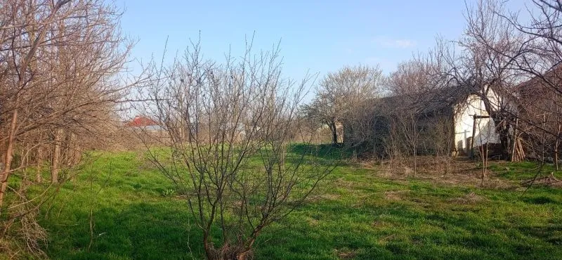 Comuna Zavoaia judetul Braila