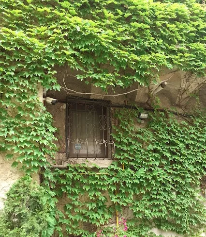 Gara de Nord apartament in vila