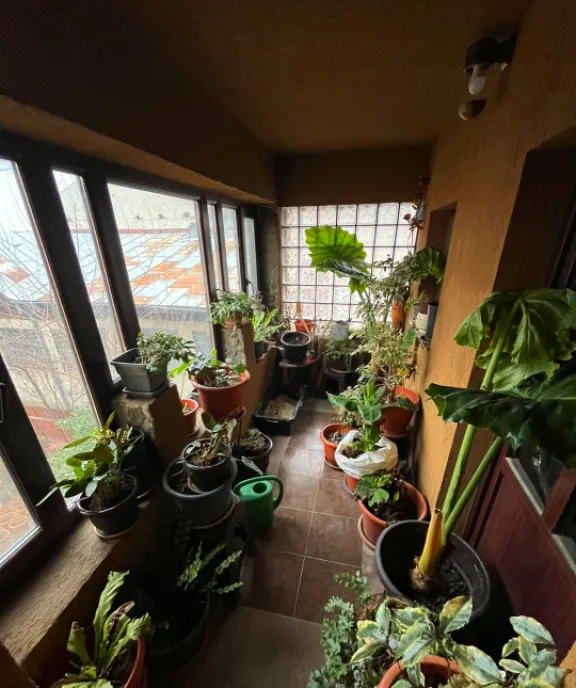 Casa 300 mp utili Malu Rosu Ploiesti