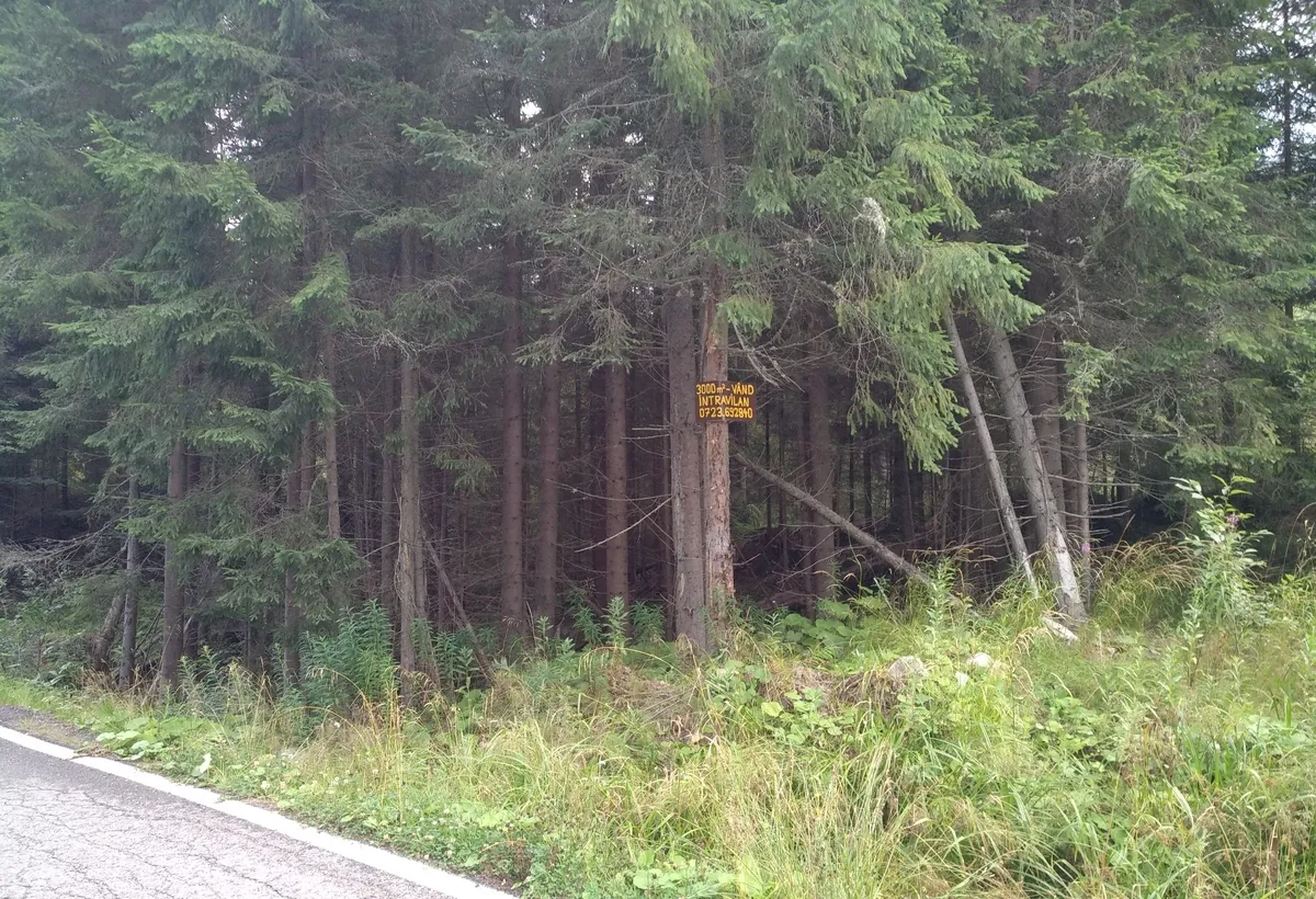 Zona Puru lac Vidra Voineasa jud Valcea