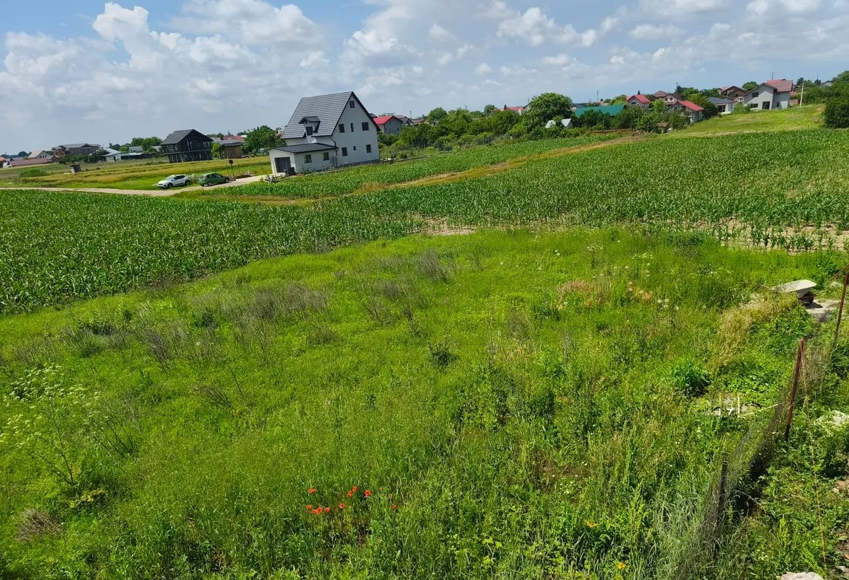 Bucuresti Moara vlasiei Ilfov strada Marin Sorescu