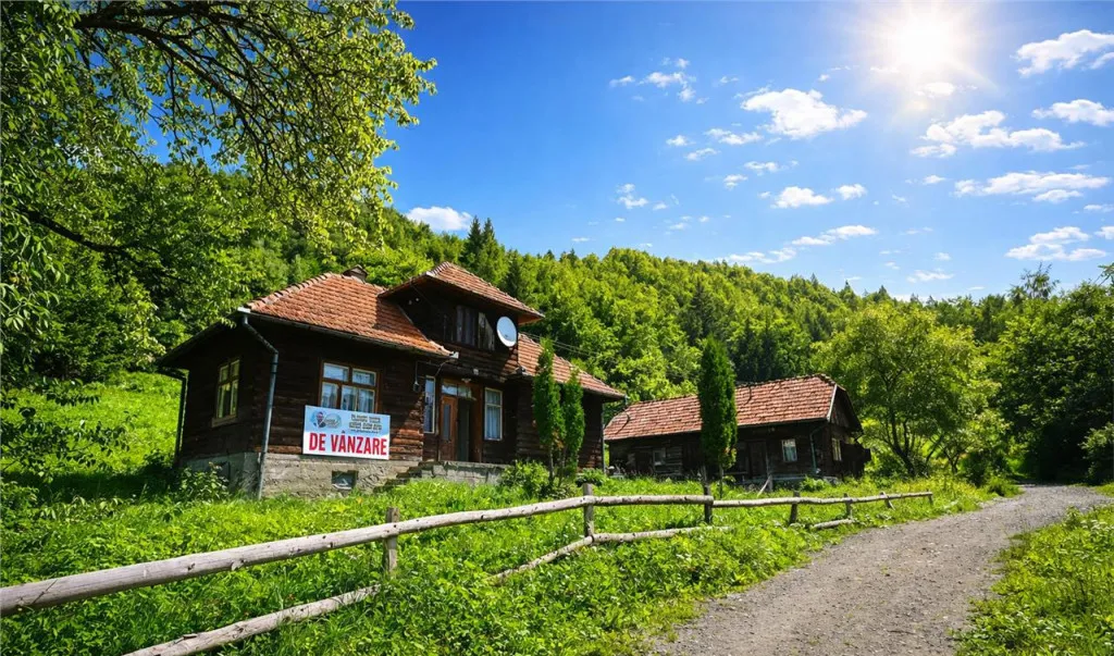 Film Proprietate autentica Bran Simon 4 300 mp teren cas