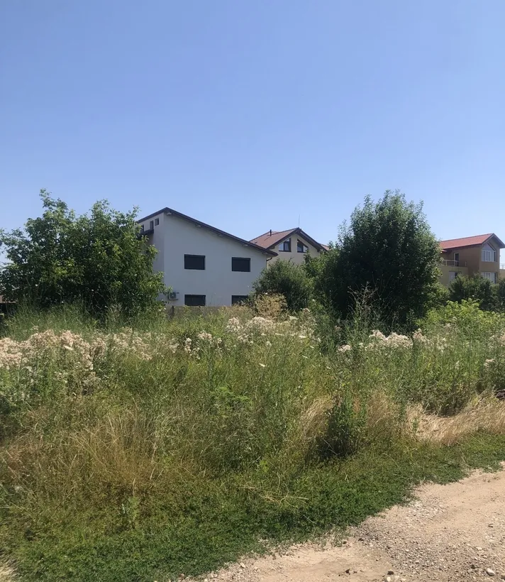 Domnesti Ilfov