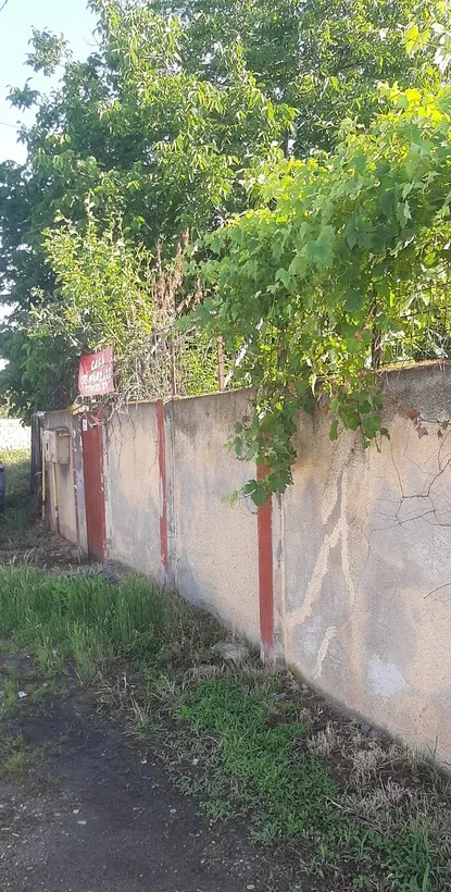 Domnesti Ilfov