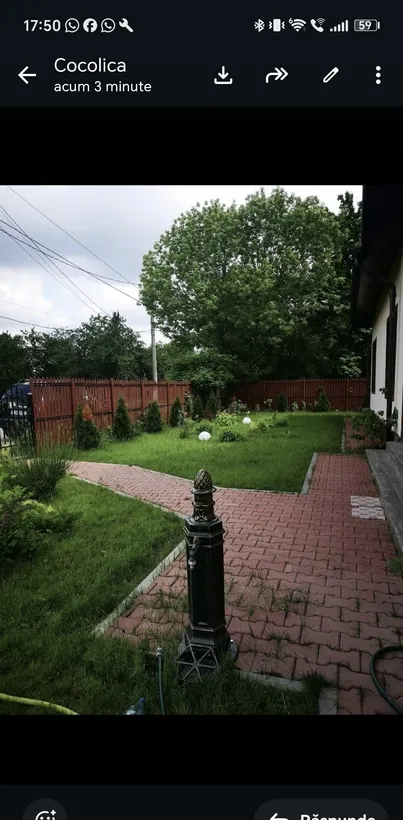 Snagov langa Club Snagov