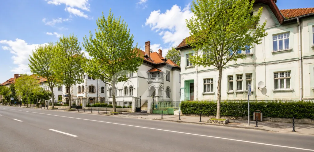 Apartament cu potential hotelier Str Nicolae Iorga nr 6