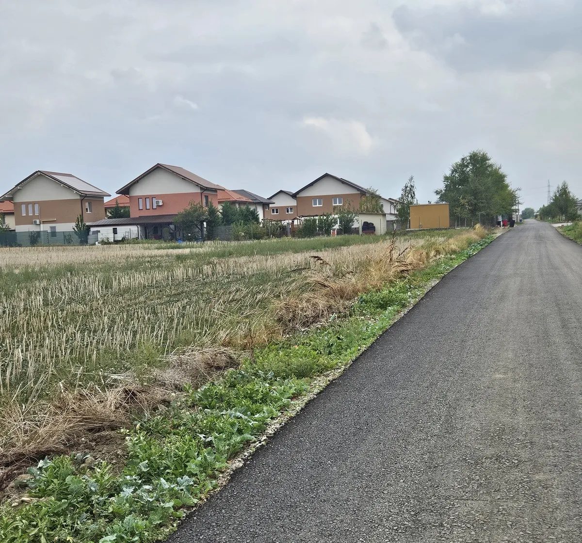 Sabareni in apropiere Mogosoaia Buftea