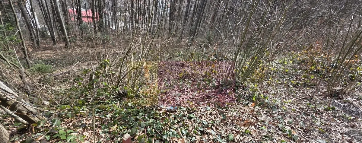 Tere intravilan de vanzare in Sinaia