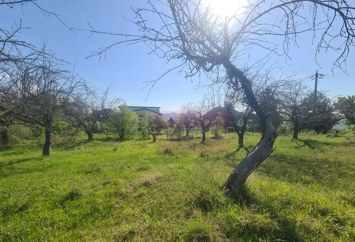 Teren de vanzare in Campina in zona retrasa