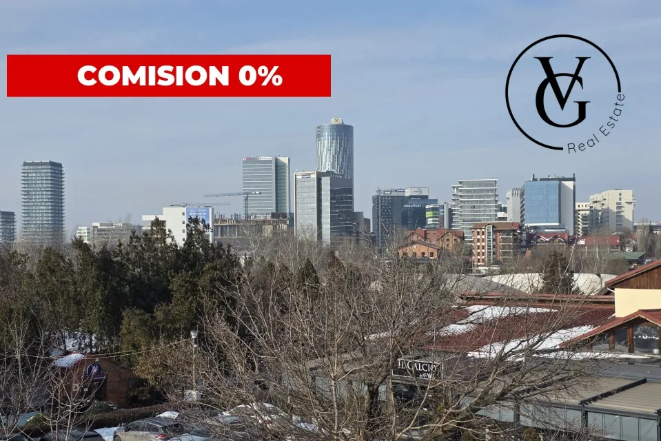 Floreasca Duplex ideal investitie 502 mp