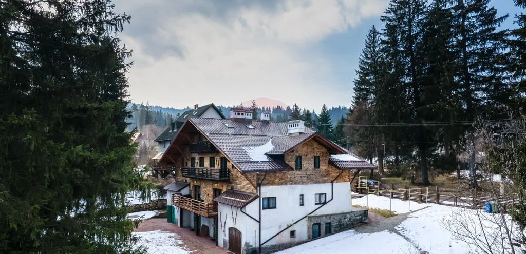 Vila istorica activ turistic cu randament 12 Timisu