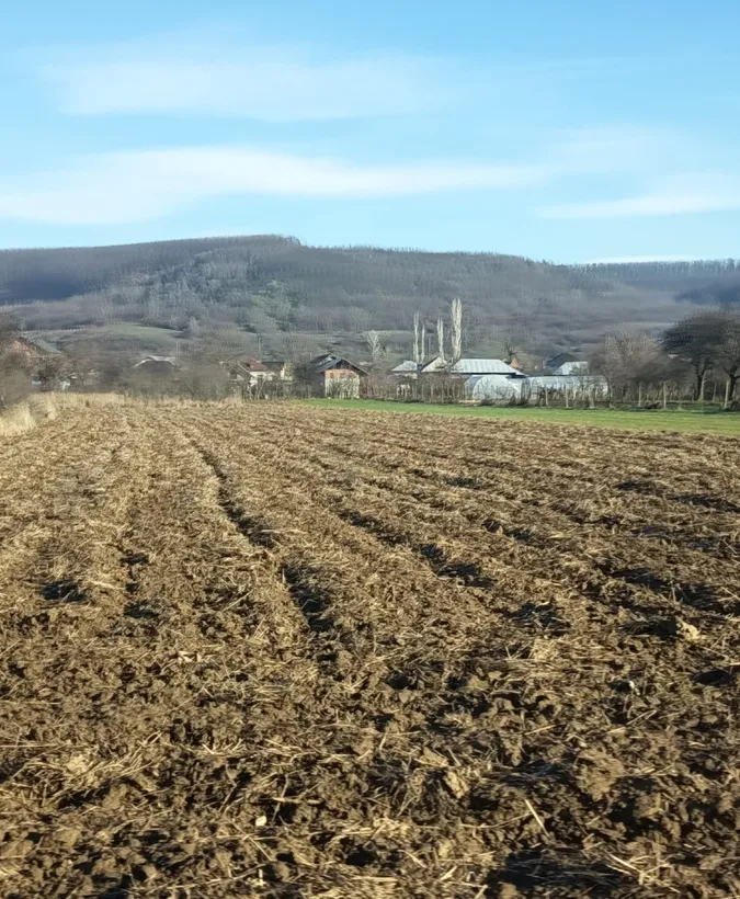 Topoloveni judetul Arges
