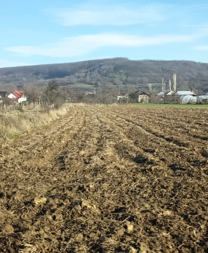 Topoloveni judetul Arges